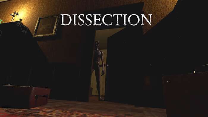 解剖Dissection