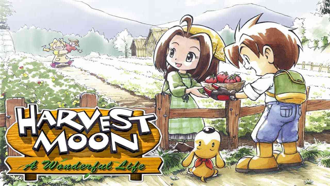 牧场物语：美好人生 Harvest Moon: A Wonderful Life